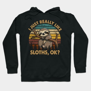 Sloth  I Just Really Like Sloths, OK? Graphic for Comfortable Tee Hoodie